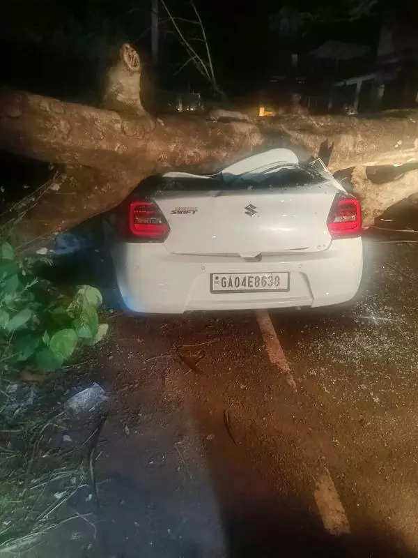 Trees wreck car, scooter at Bicholim