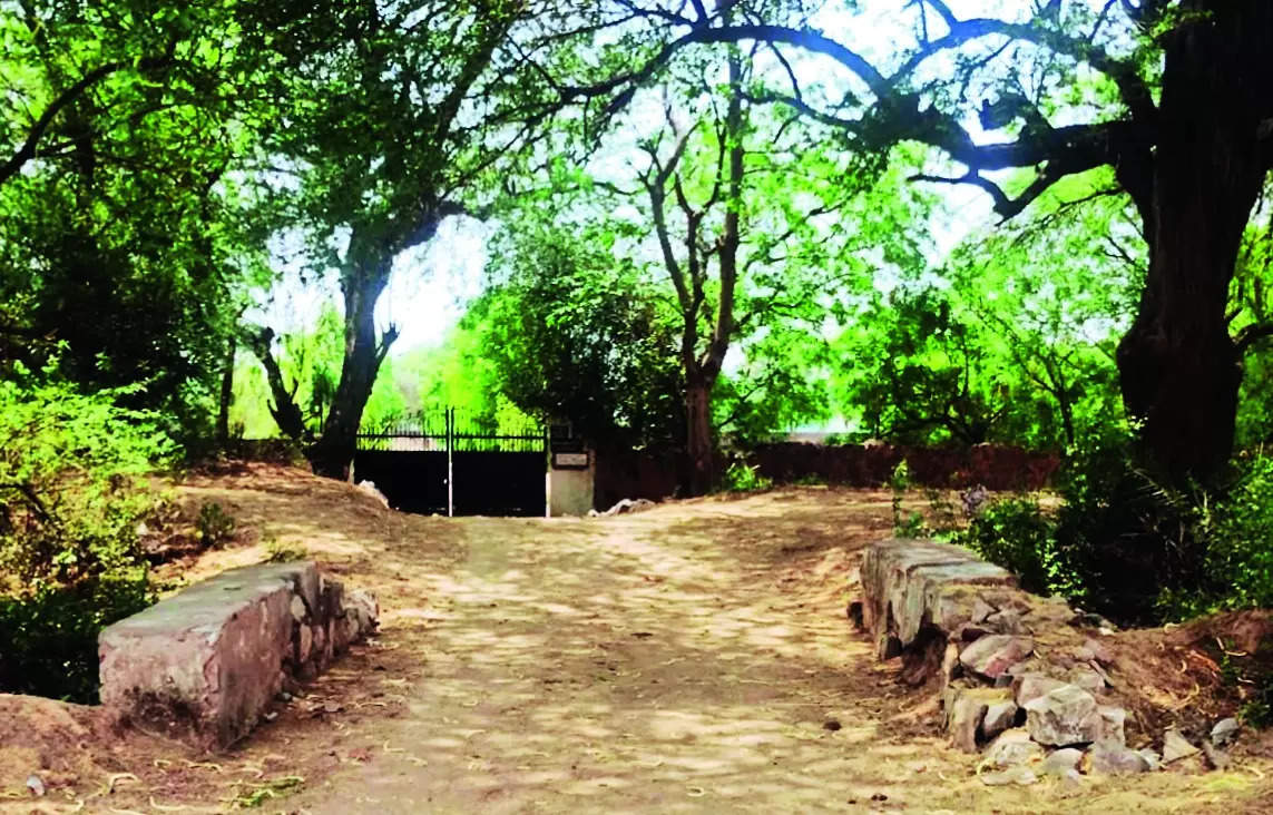 Checks reveal damage to bundh, foresters fine farmhouse owners