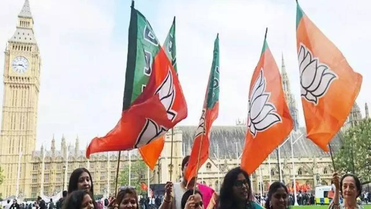 Indian women gather in traditional attire outside UK Parliament to extend support to PM Modi's success in LS polls