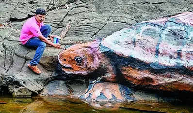 Artist paints rocks near Devaragundi Falls as part of an awareness drive