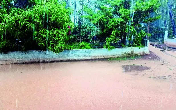 Rain fury: Many places are inundated in Kodagu district