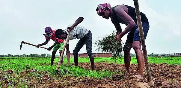 Tracing root cause of agrarian distress