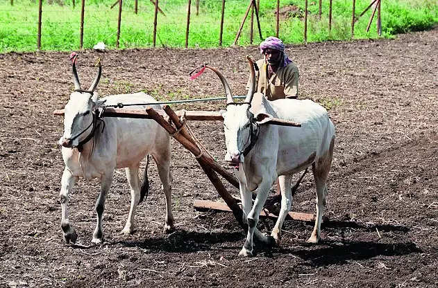 Farmers gear up for kharif sowing
