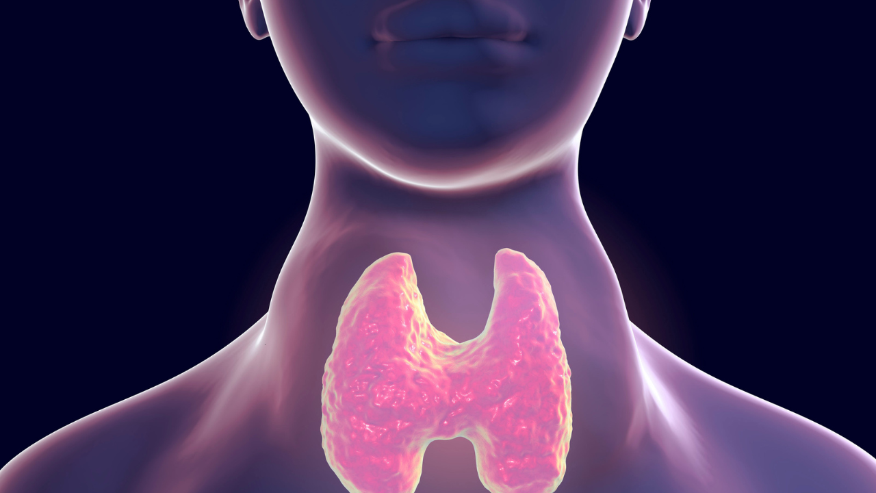 Thyroid (1)