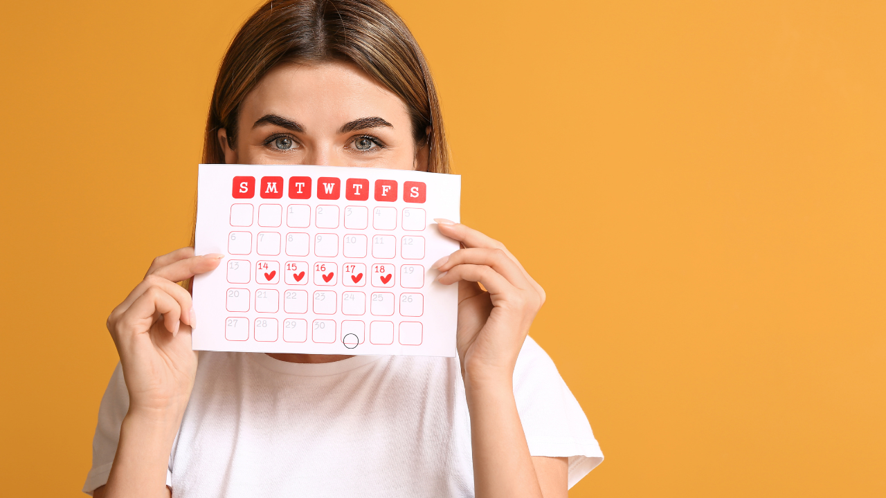 Menstrual cycle