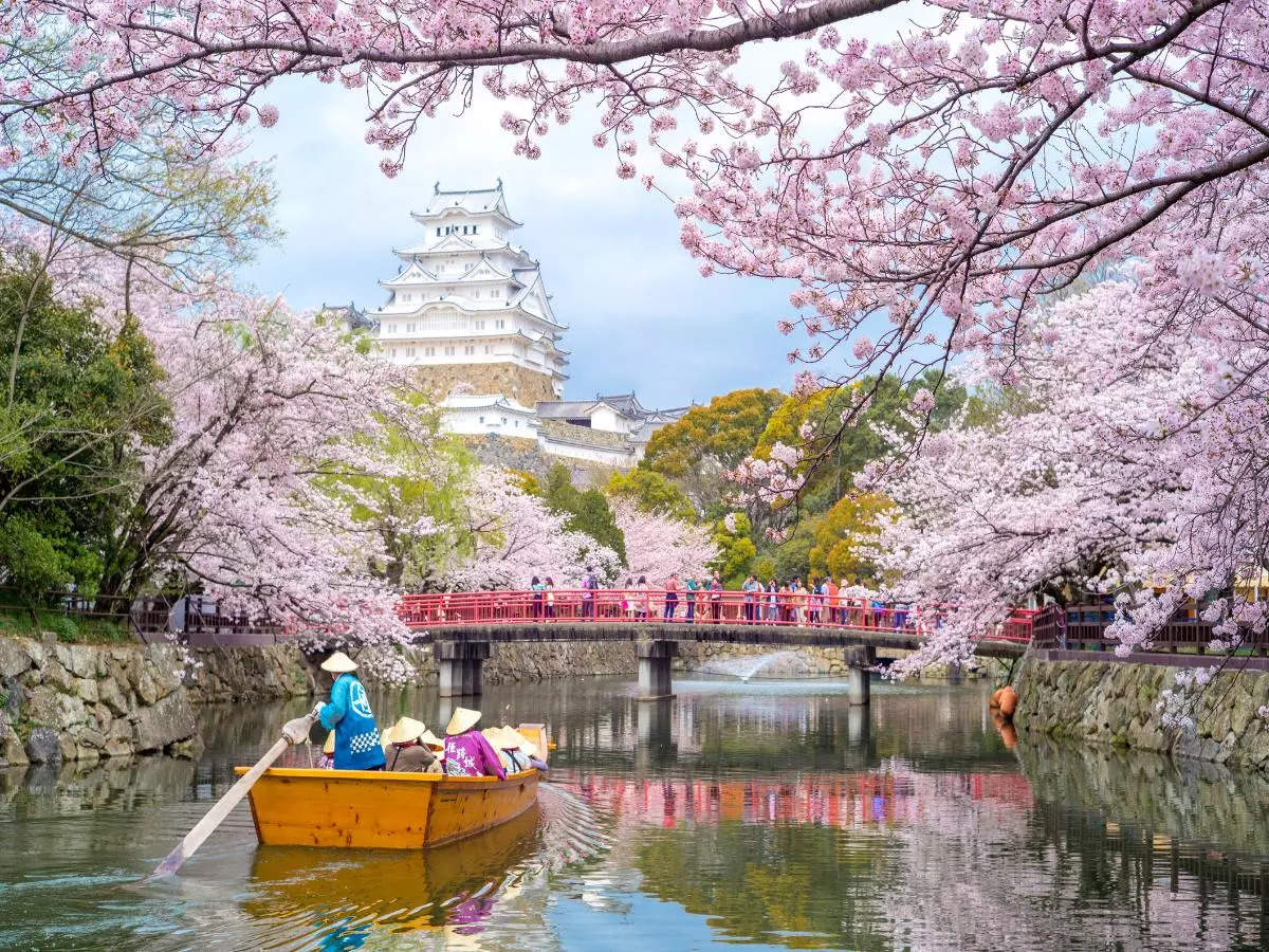 Japan’s stunning samurai castles: A symbol of power and beauty!