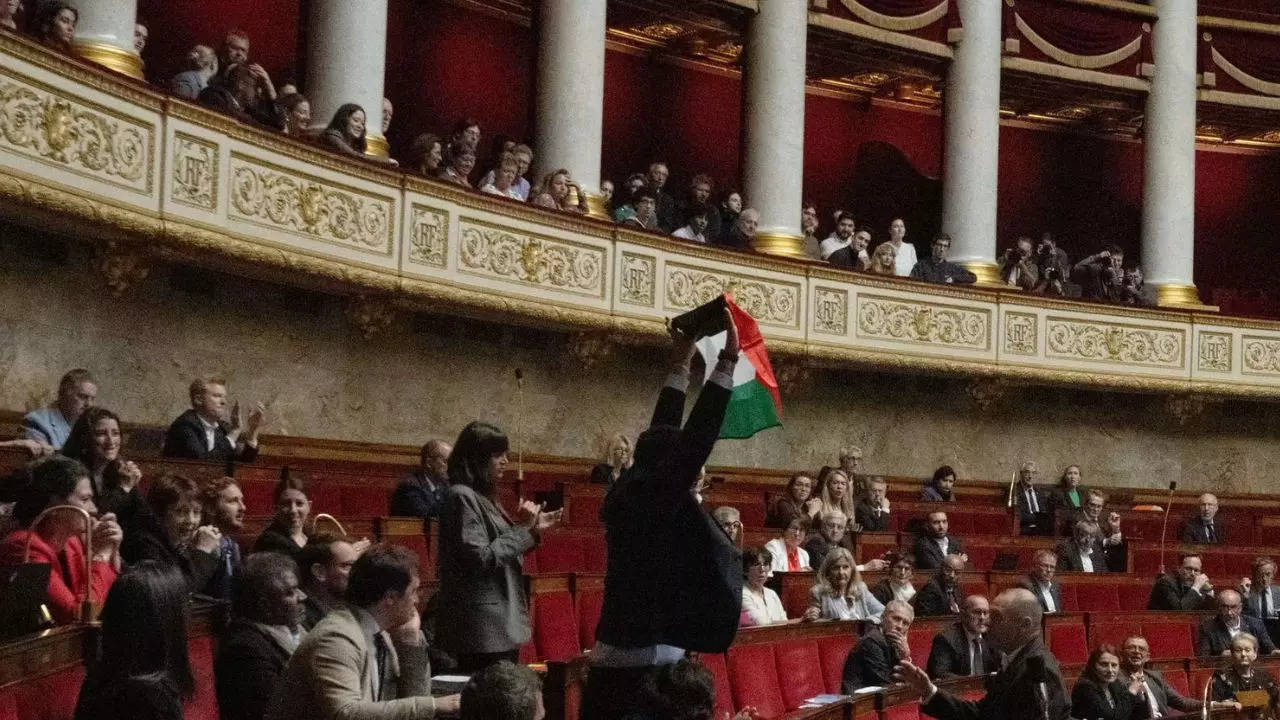 French lawmaker suspended for waving Palestinian flag in parliament debate