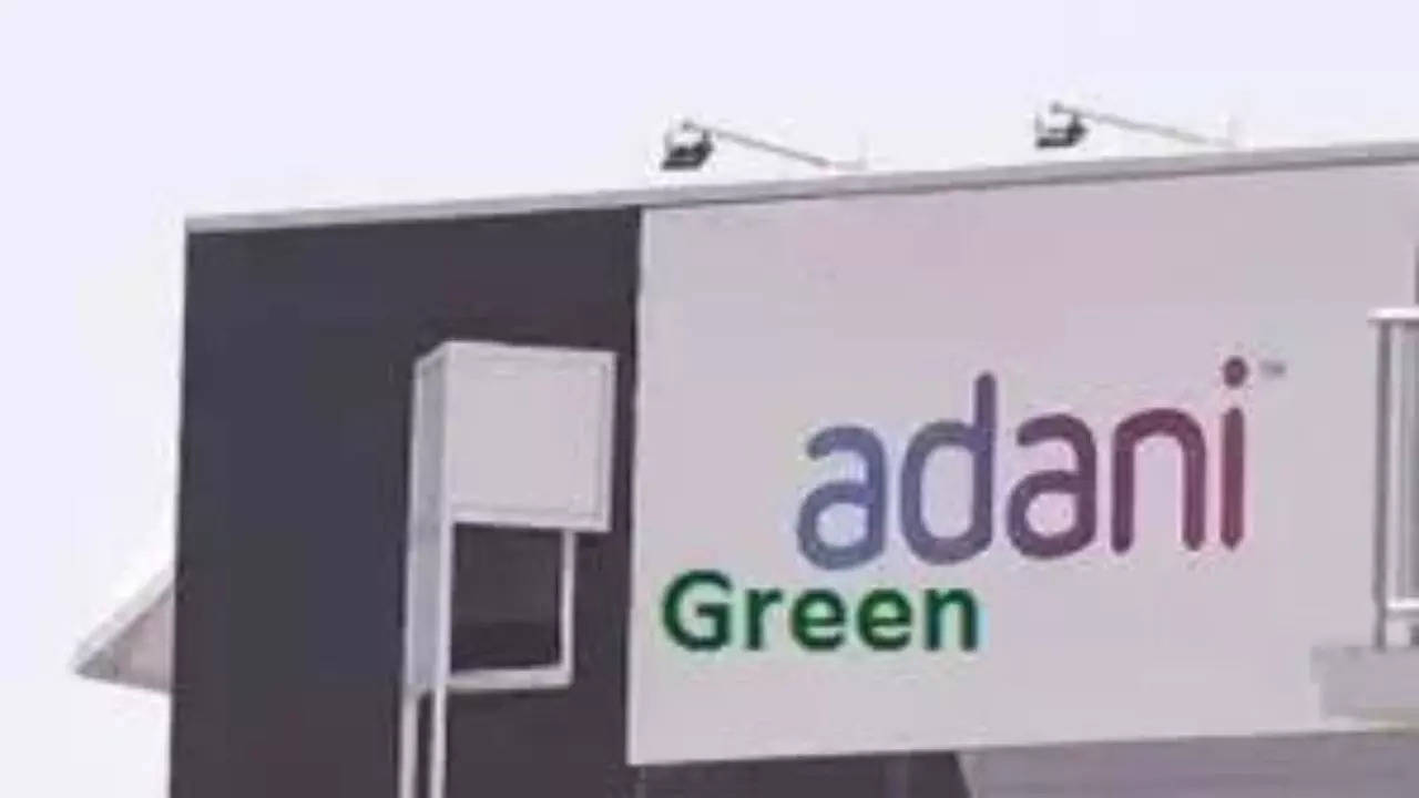 Adani Green risks missing targets: Report