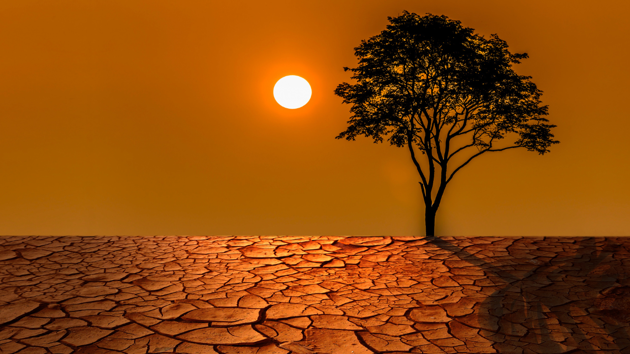 heatwave (2)
