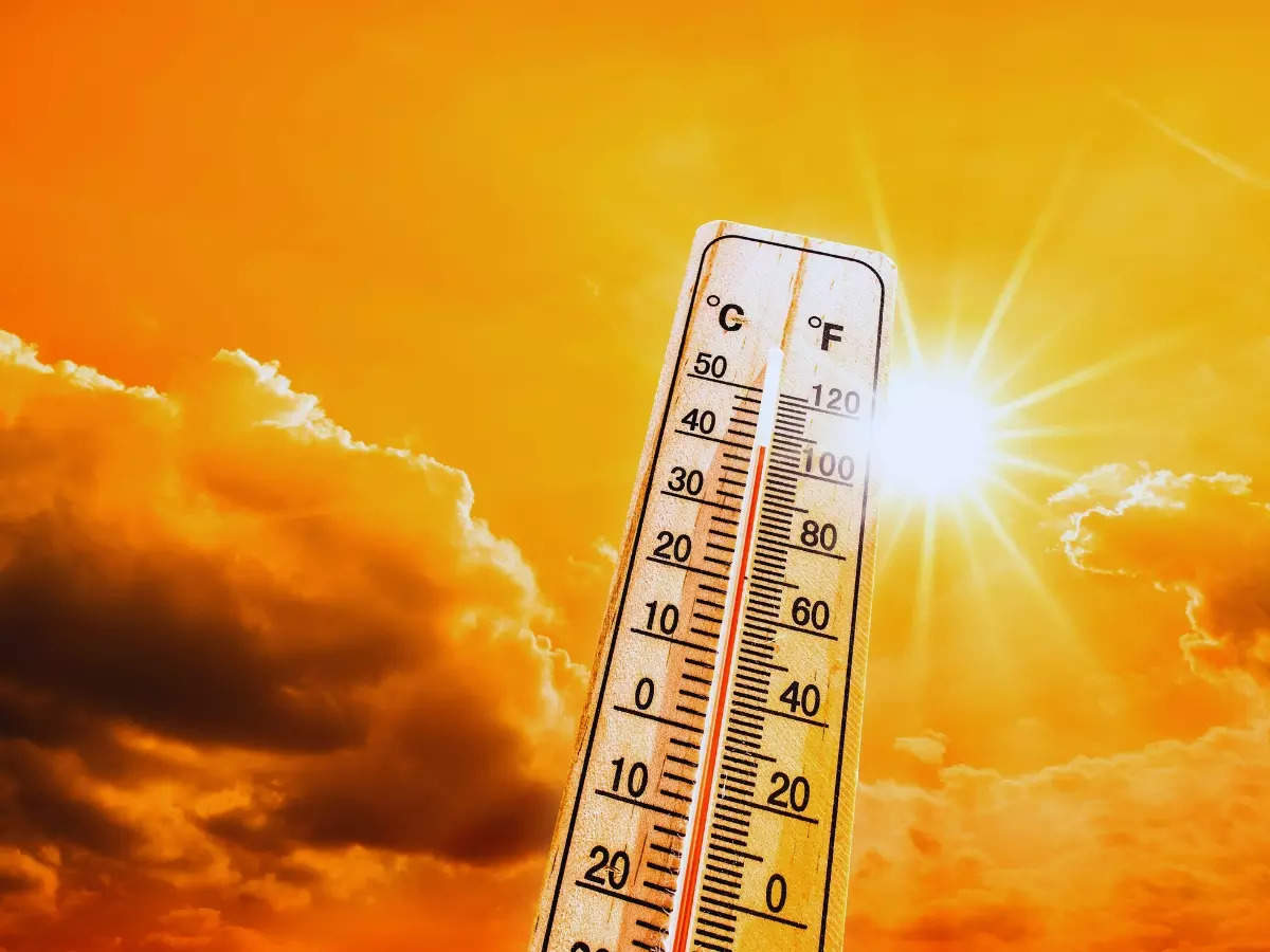 Any plans to visit Nagpur? The city boils at 56°C amid heatwave