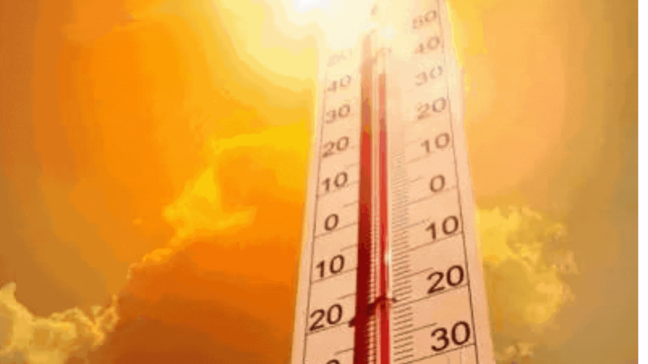 Odisha reports 45 more heatstroke deaths in 24 hours, pushes up India toll to 211