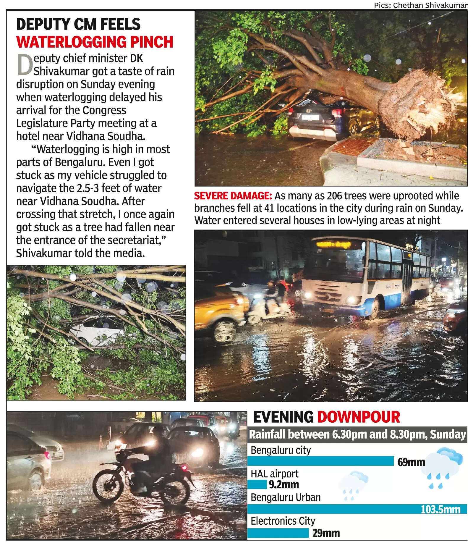Monsoon arrives, 206 trees fall in city