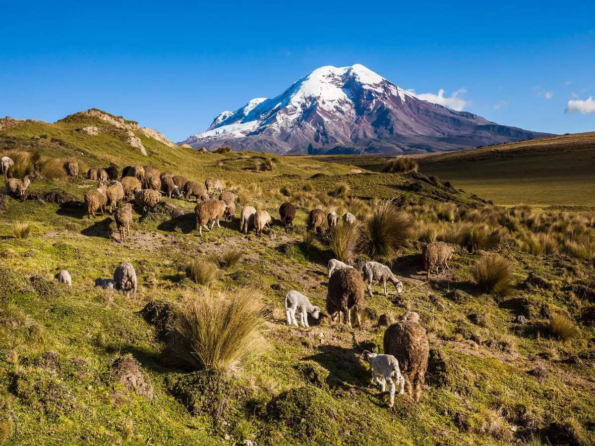 Exploring the premier hiking destinations on Chimborazo Day