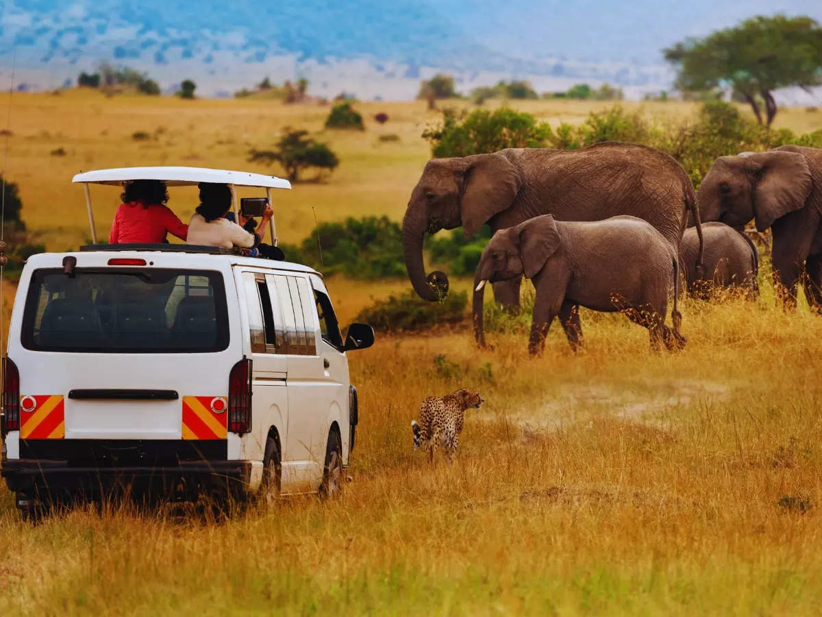 Kenya: Maasai Mara's Great Migration should be on your July wild bucketlist