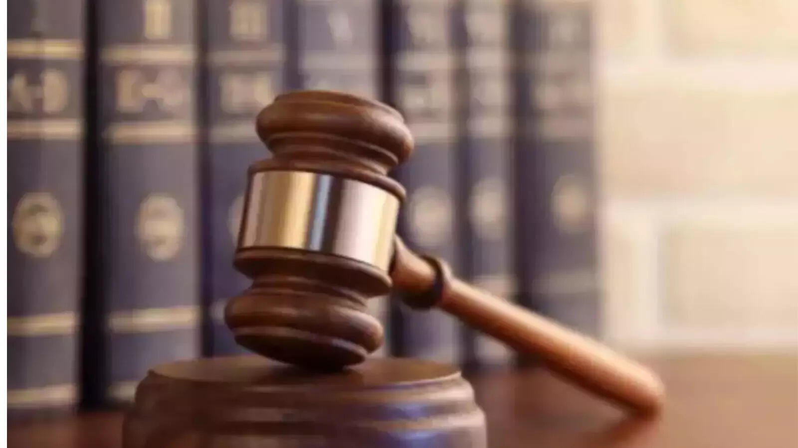 &lsquo;Trespassers will be shot&rsquo; signs at defence bases improper: HC