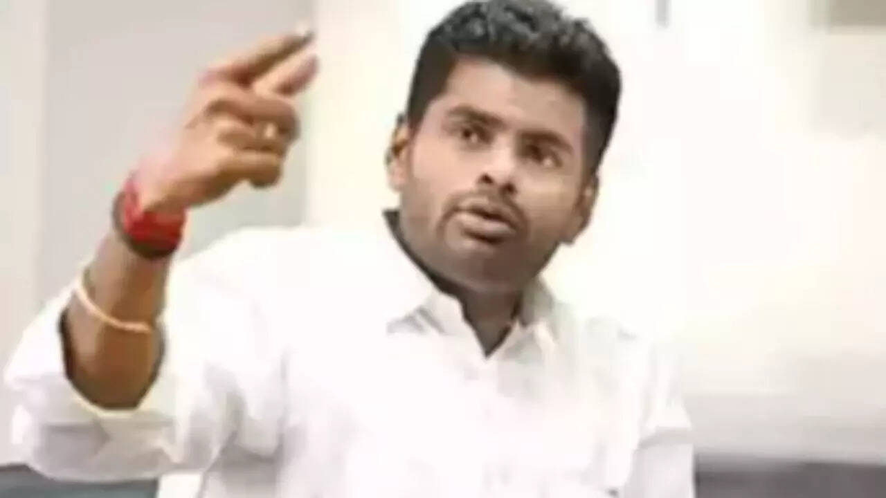 The anatomy of Annamalai&rsquo;s poll defeat in Coimbatore