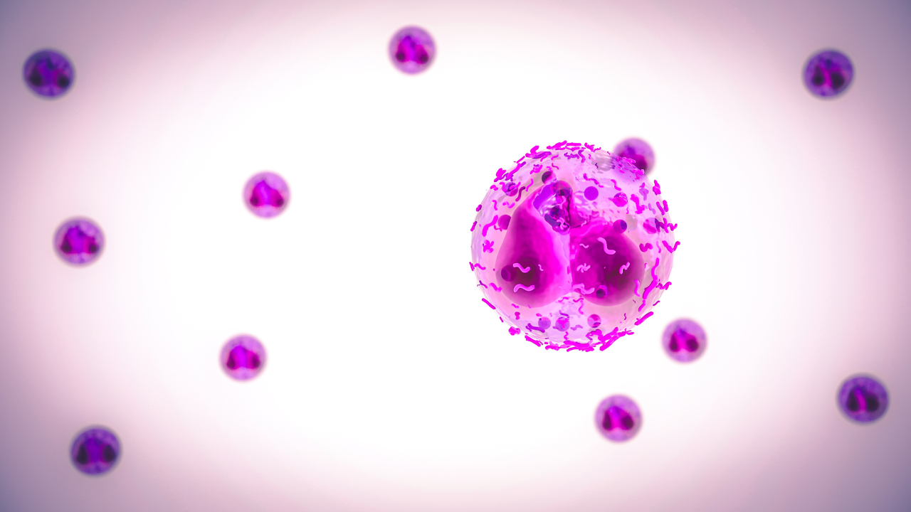 inflammation (3)
