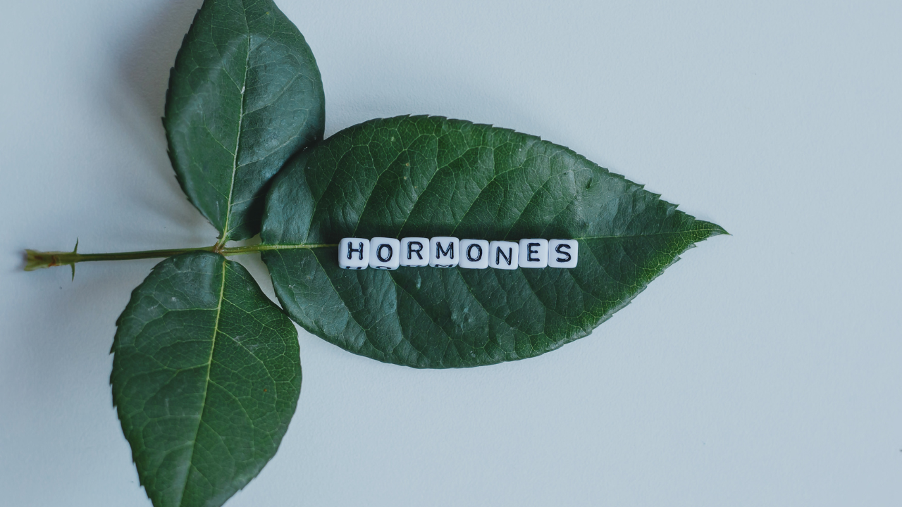 hormones