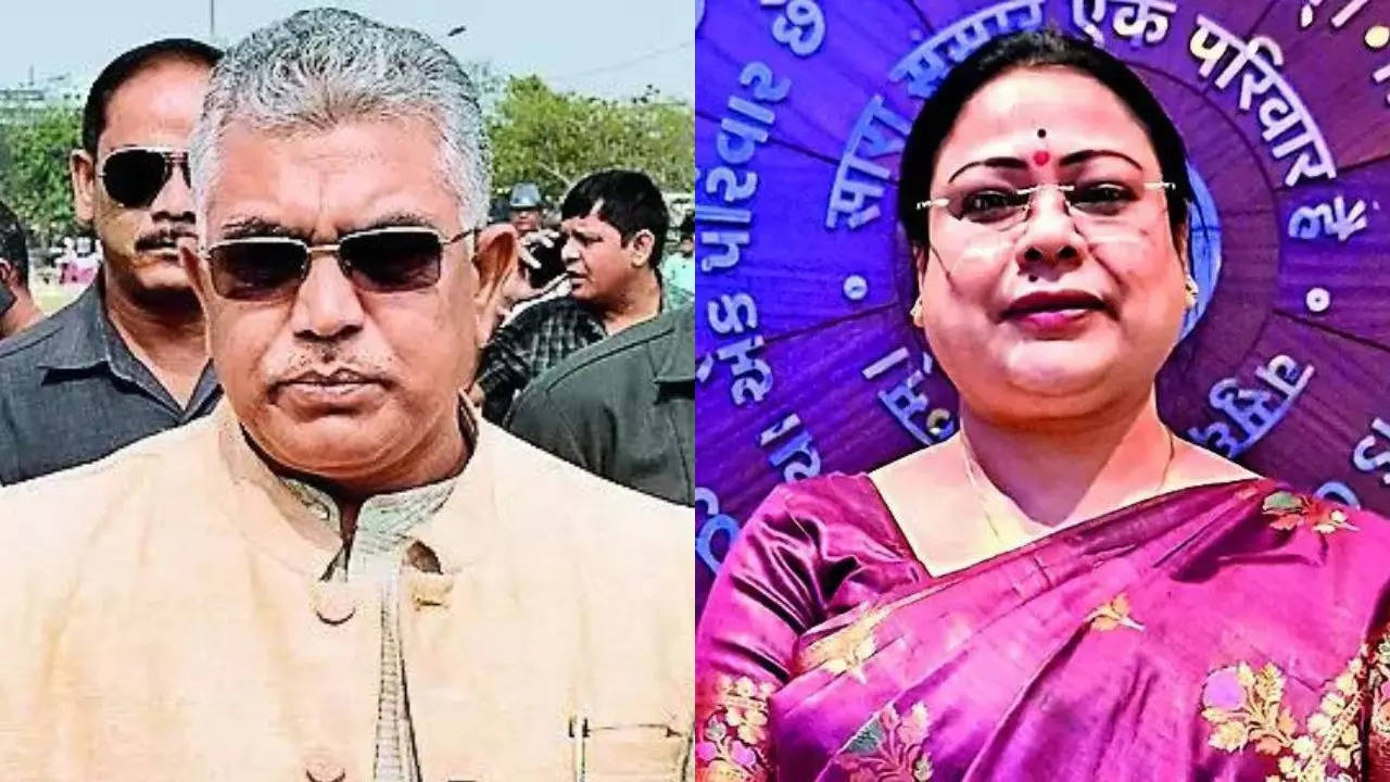 Dilip Ghosh: Was there a plan to get BJP veterans defeated in Bengal?