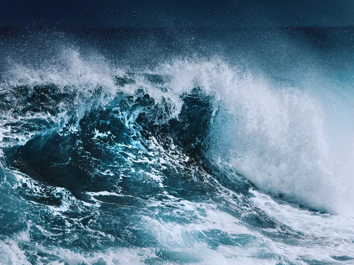 World Oceans Day 2024: From strange sounds to hidden mountains, the oceans are mysterious; fun facts about oceans