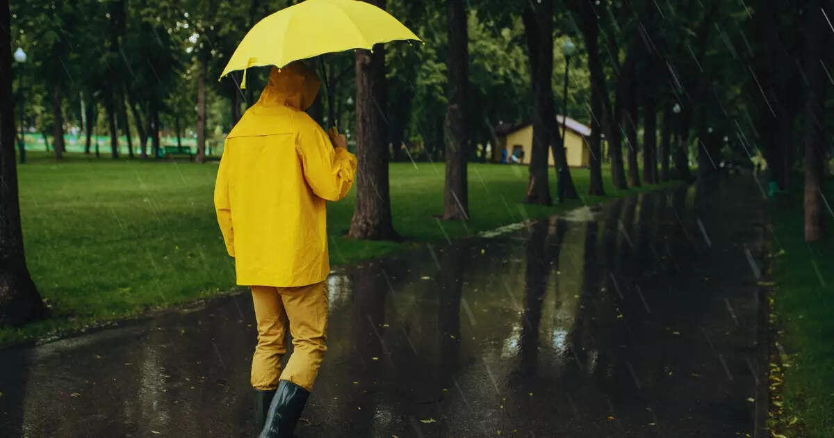 10 rainiest places on Earth: India’s top 2 lead the list | Times of India