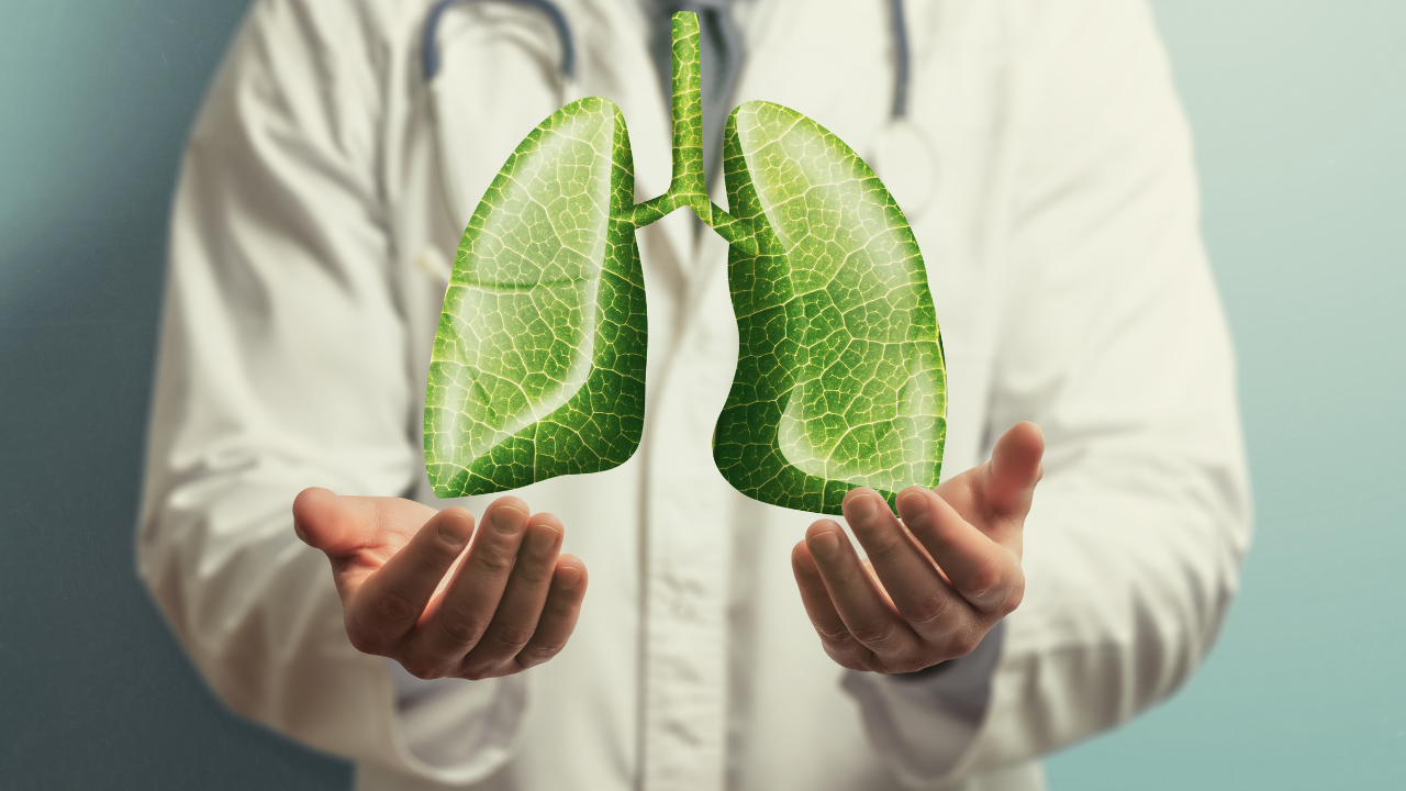 6 herbs that help clean lungs naturally
