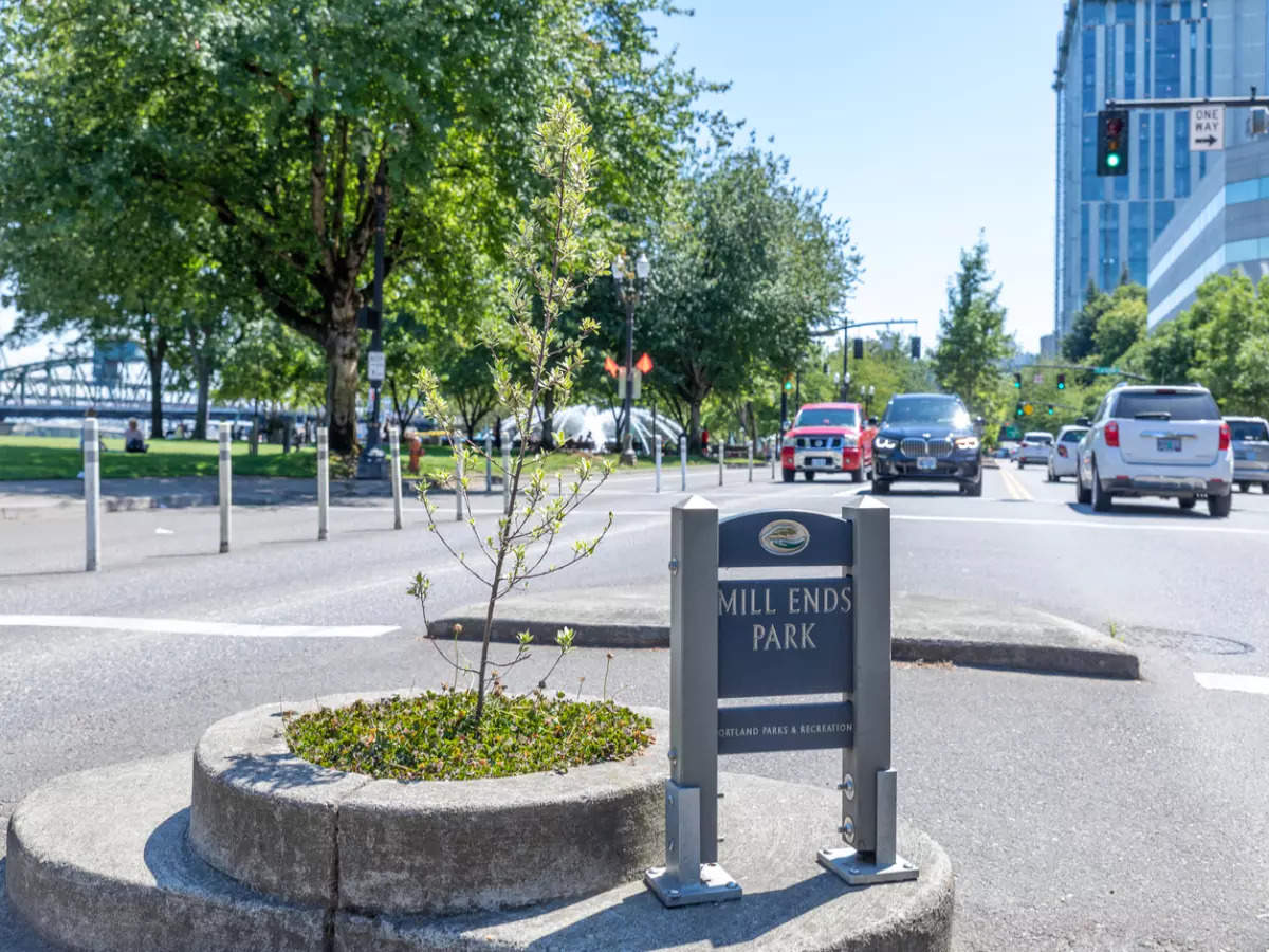 Mill Ends Park, Oregon, US: Exactly how small is the world’s smallest park?