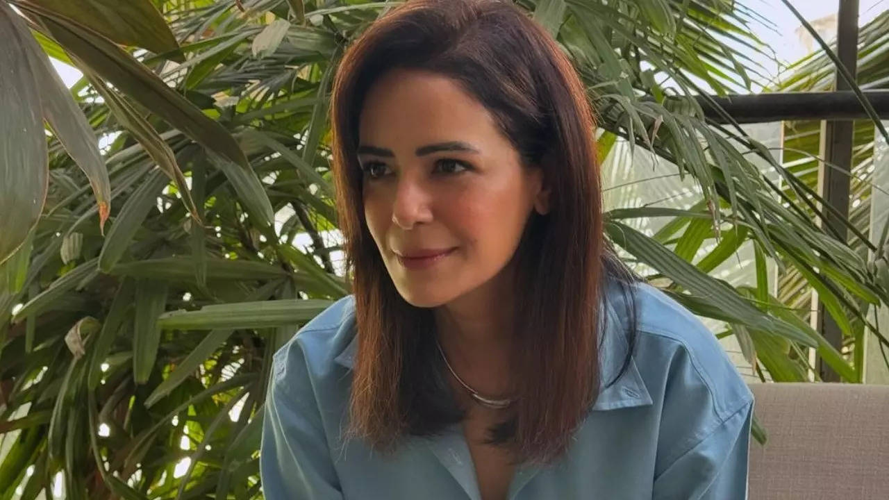 Mona Singh: 'There was no growth for me on TV'