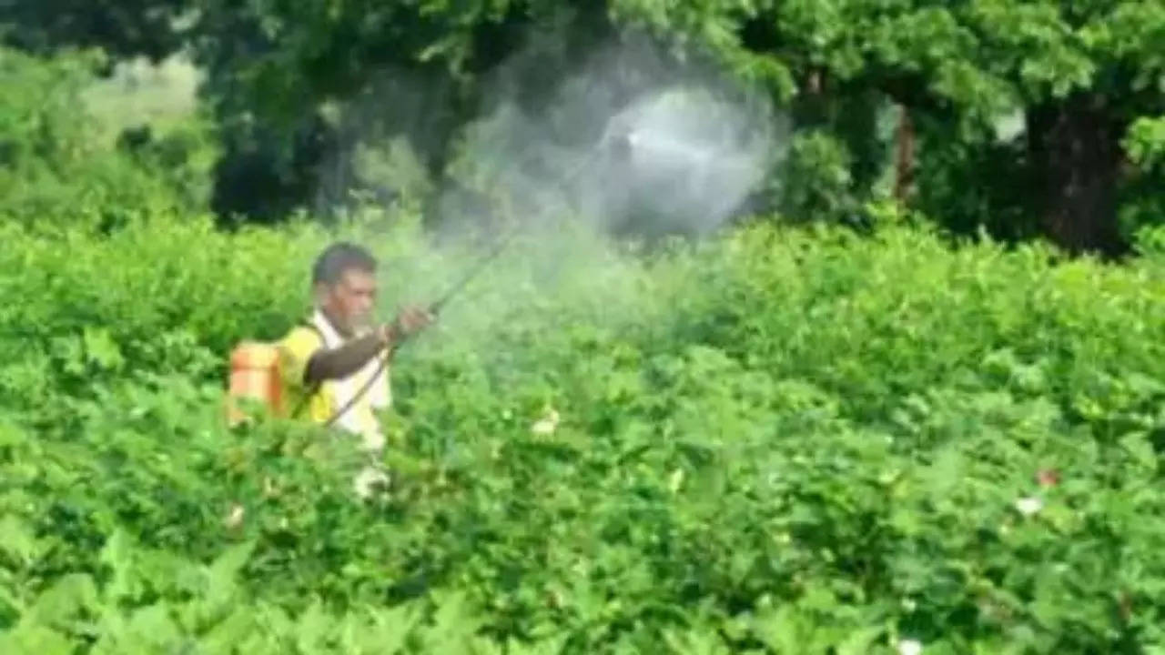 Pesticide use in Telangana 3rd highest in country, agriculture experts flag toxic residues in food