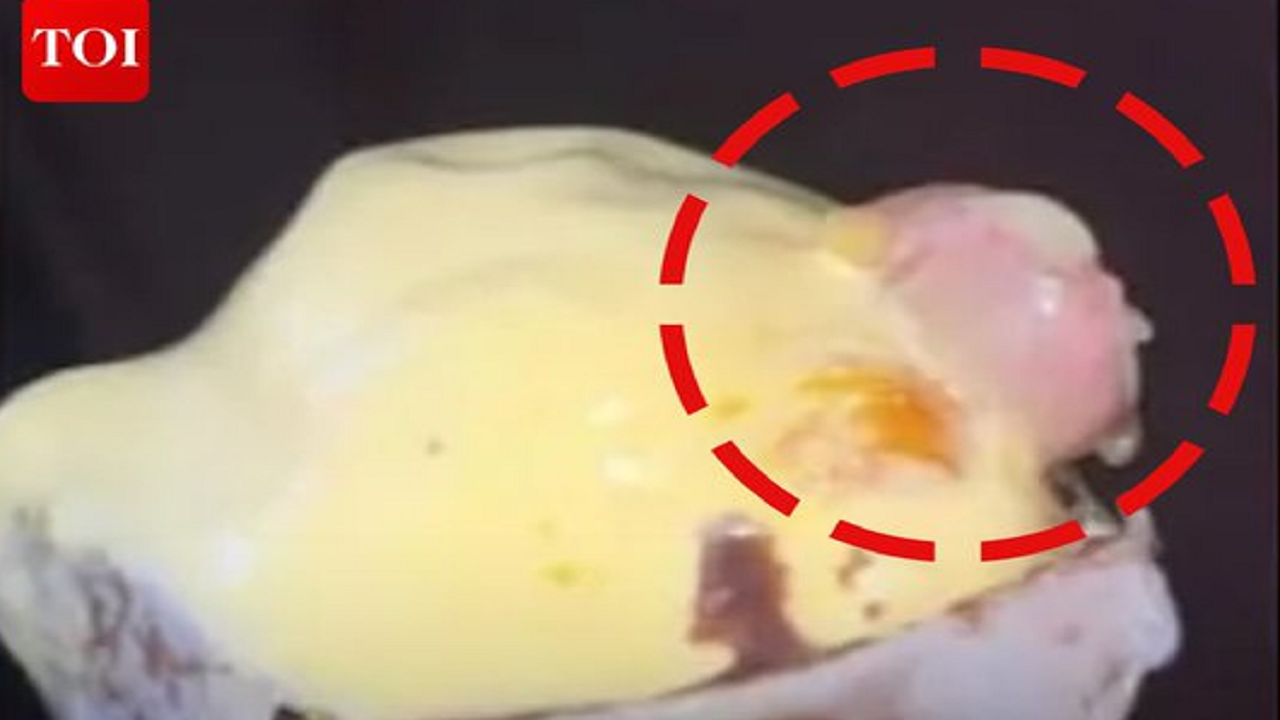Mumbai ice cream nightmare: Customer finds human finger