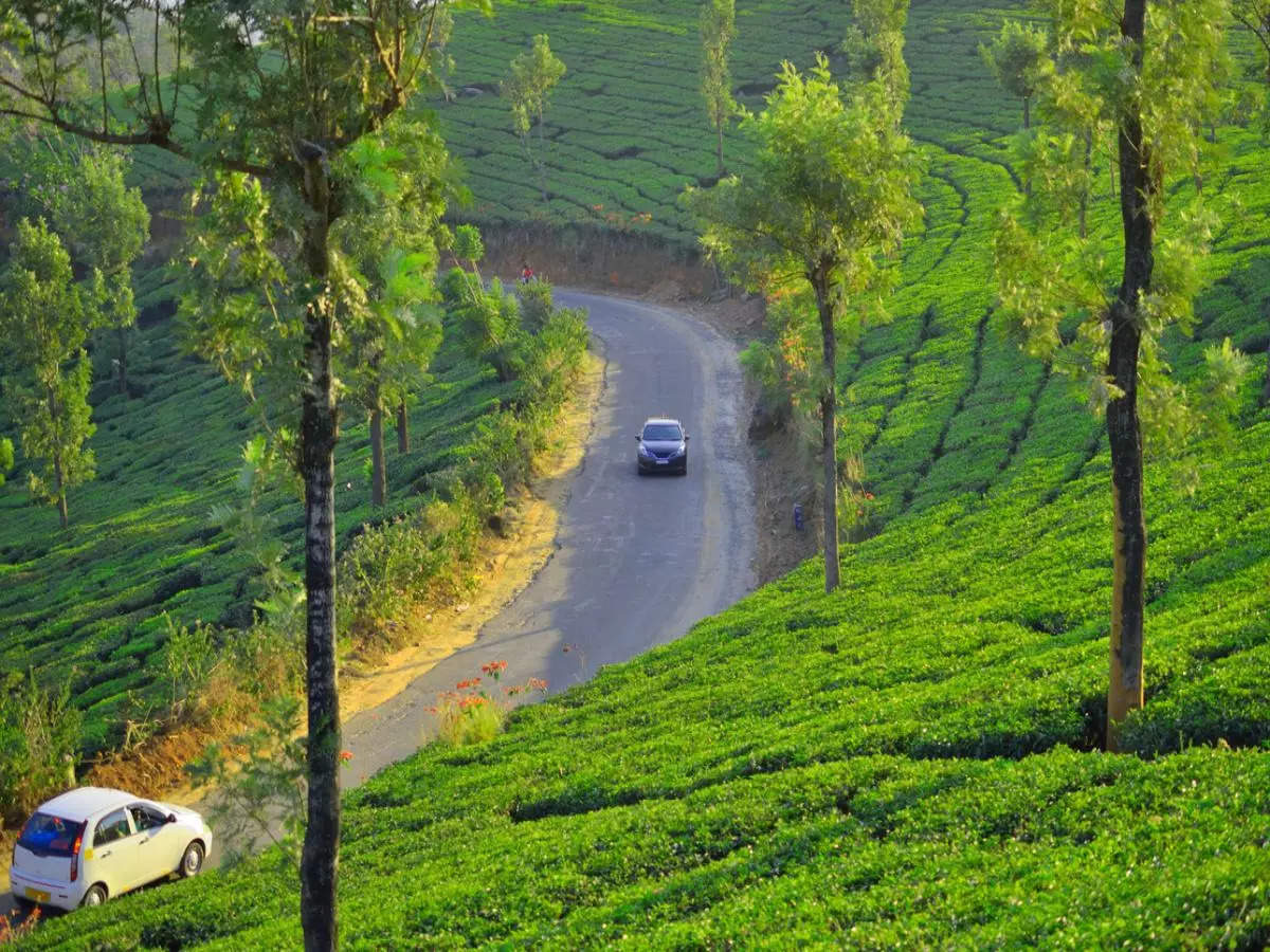 Top 9 monsoon road trips in India from coffee plantations to hill stations