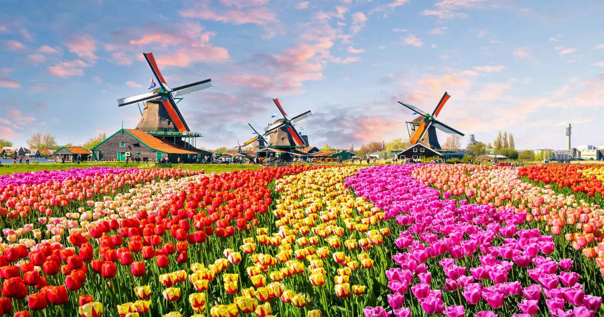 Global Wind Day: Places around the world famous for windmills | Times ...