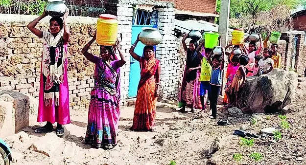 Temp, water scarcity hits veggie production in Chatra