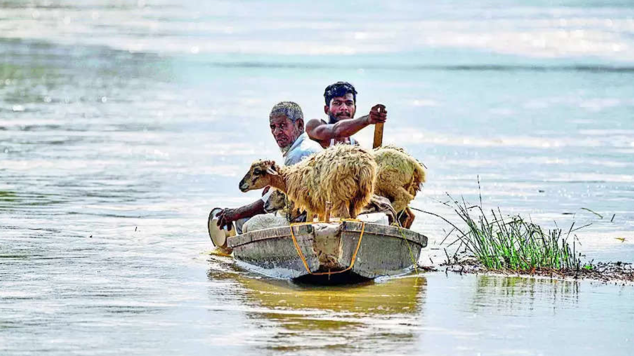 Flood threat looms as torrential rain raises water level of Brahmaputra