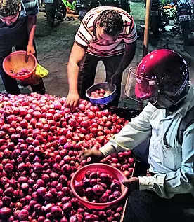 Weather effect: Onion prices up by 15 since last week