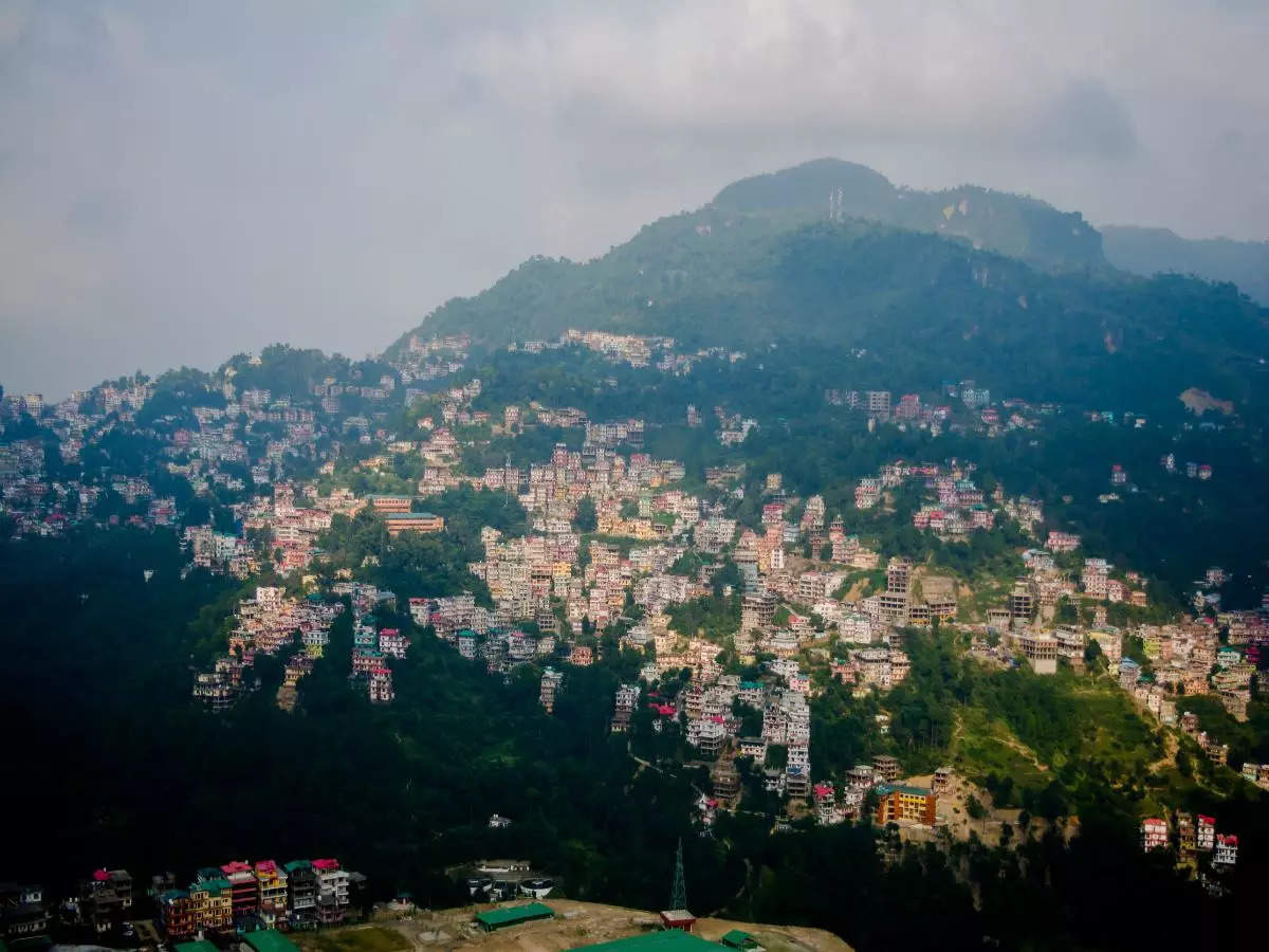 Solan, India’s Mushroom City, is a delight for travellers seeking unique experiences