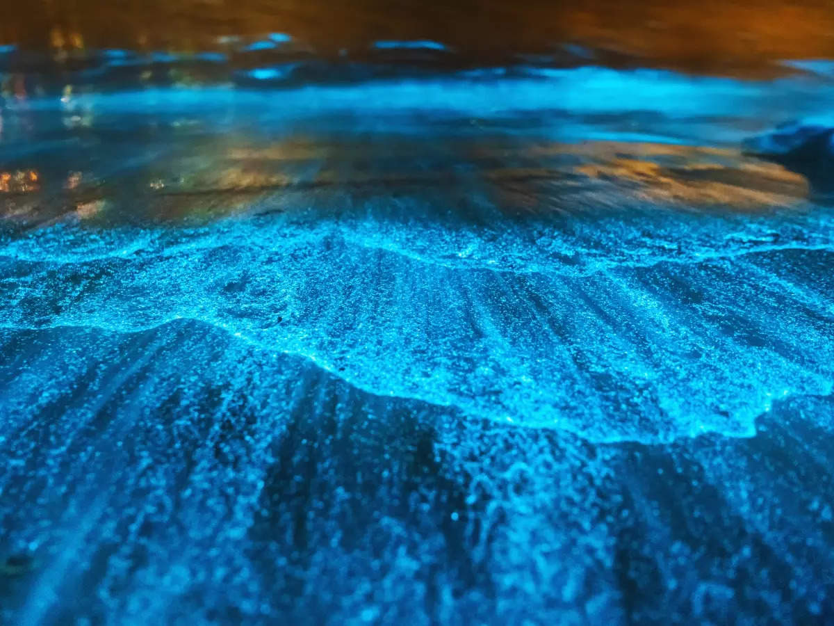 Check out these beaches that glow during the night