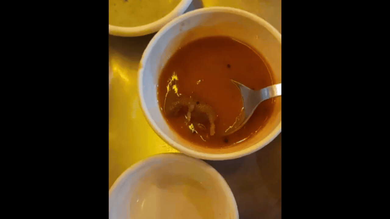 Gujarat eatery sealed after dead rat found in sambar