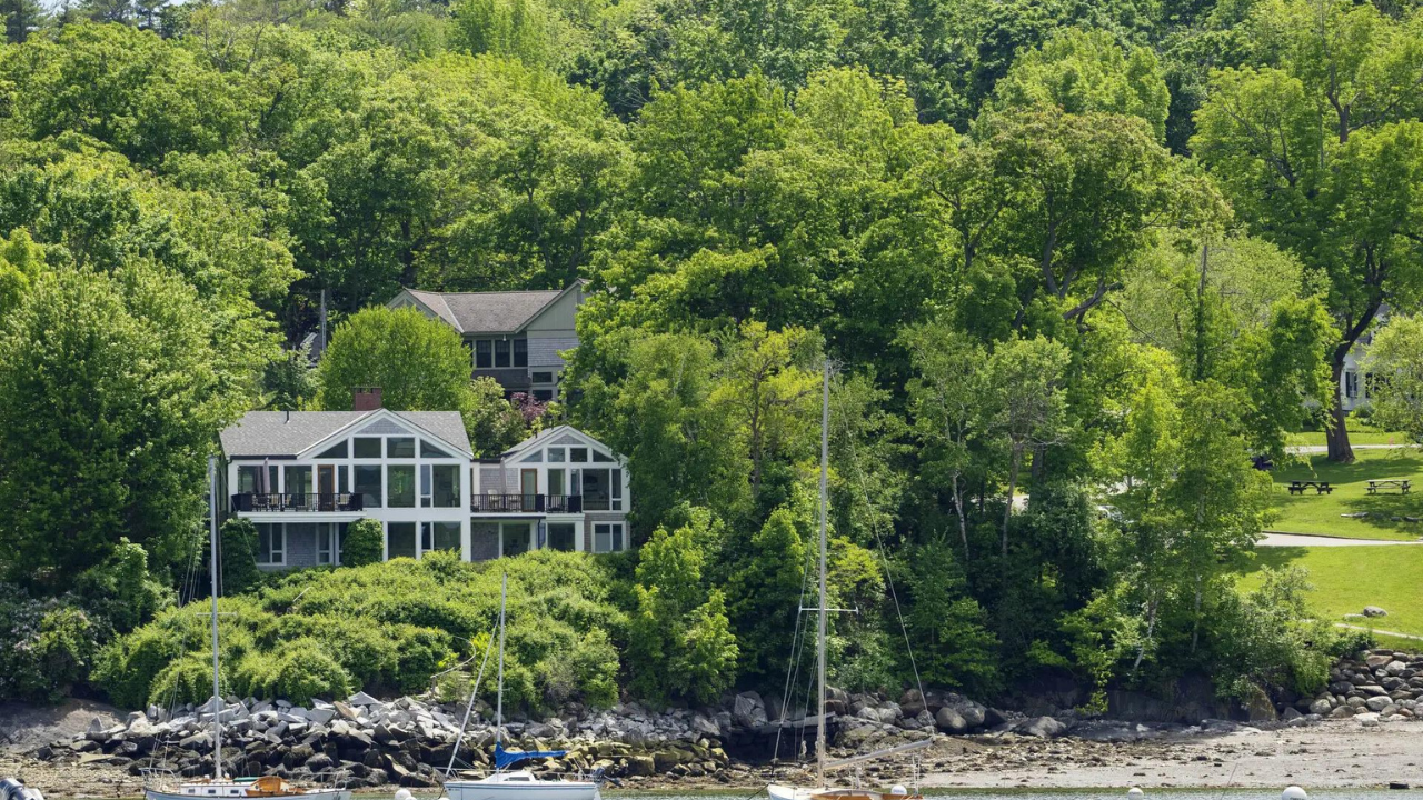 Wealthy US couple accused of poisoning trees for ocean view