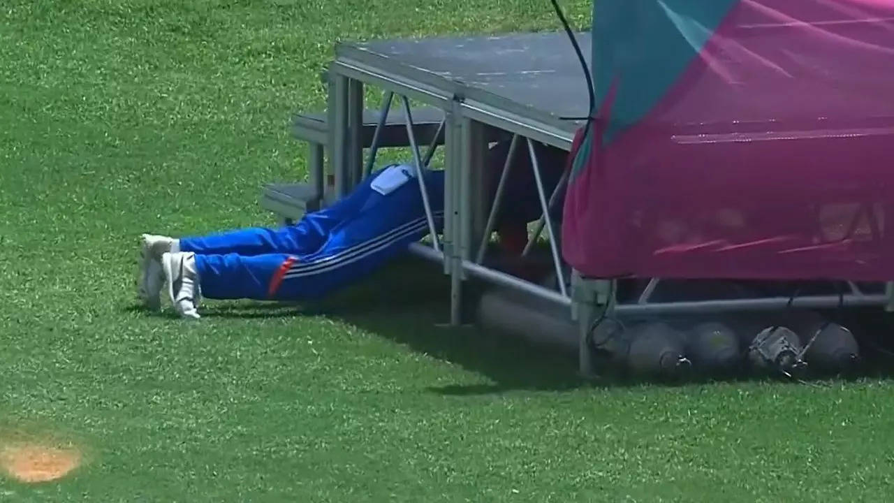 'Gully cricket vibes': Kohli goes searching for ball. Watch