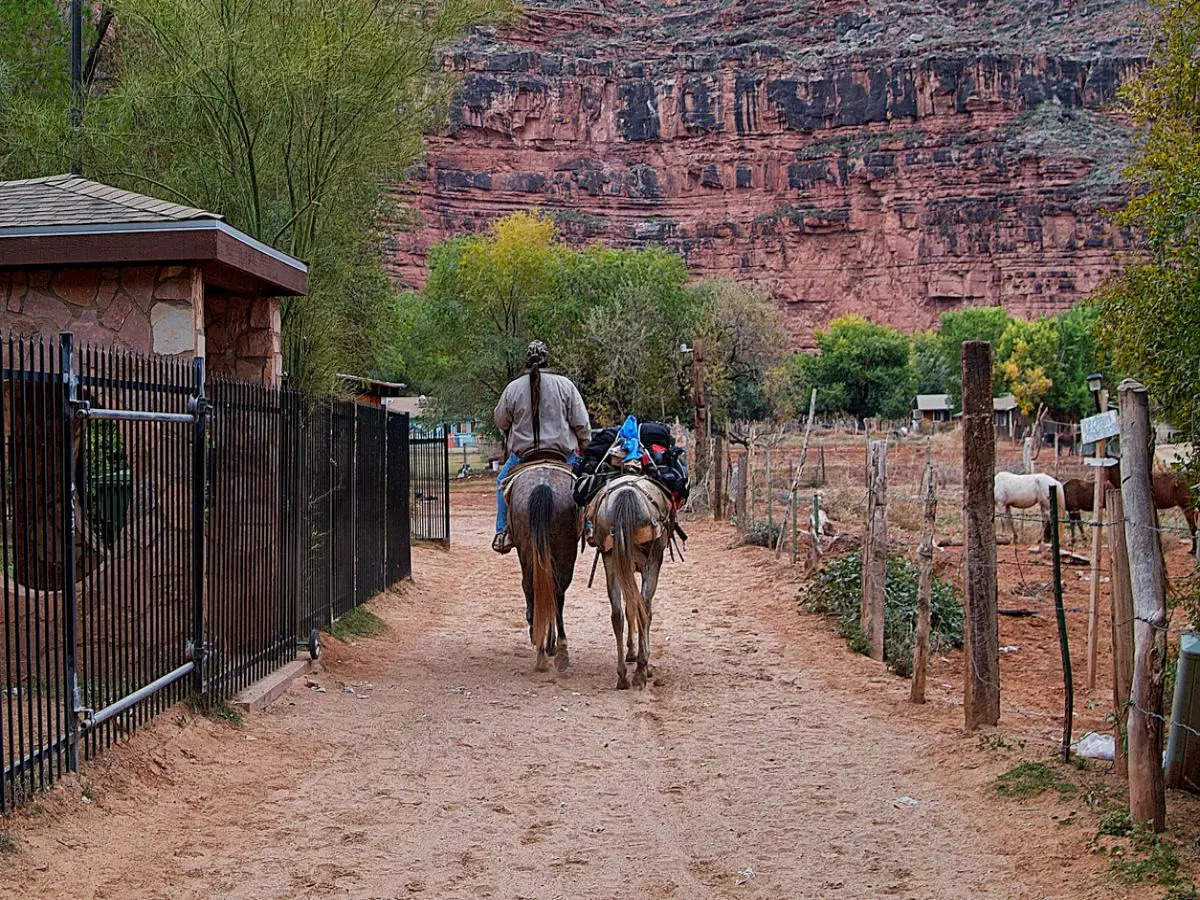 Supai, the only place in America where mail is still delivered by mule!