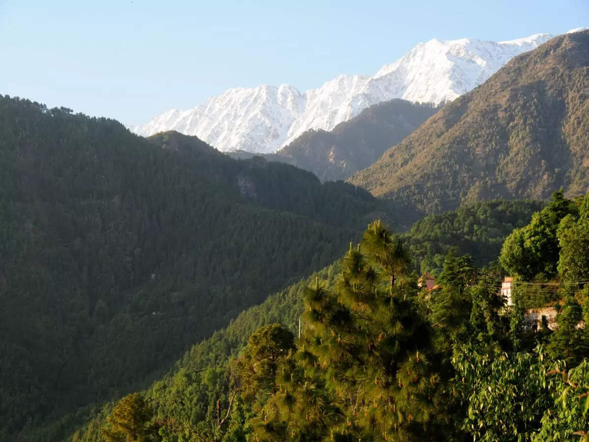 Chaukori - A Himalayan gem worth visiting in every sense!