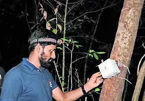 Researchers will use AI tool to document frog sounds in W Ghats