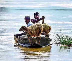 Over 1.5 lakh still hit by floods in Assam, 1 more dies