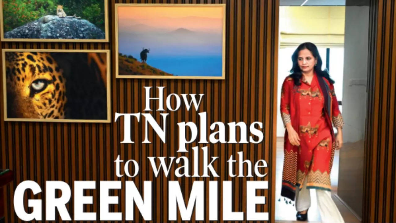How Tamil Nadu plans to walk the Green Mile