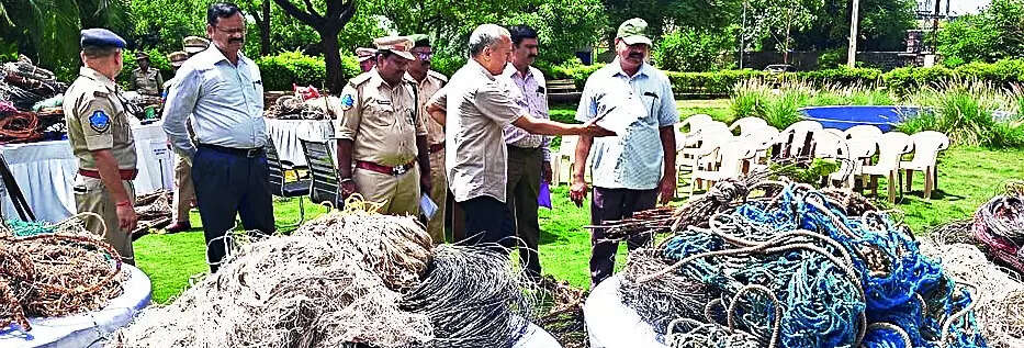 ‘Catch the trap’ initiative: Only 3 cases of electrocution of animals, 3k snares seized