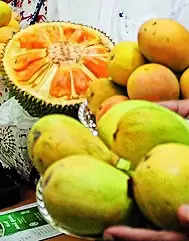 Visit Jackfruit, Mango Mela this weekend