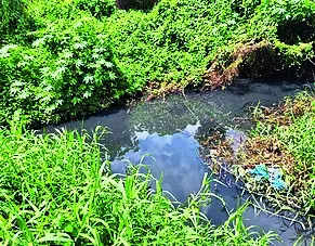 Phalguni pollution: KSPCB serves notice on industry
