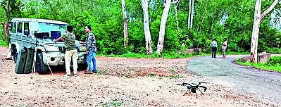 Foresters launch tiger rescue operation