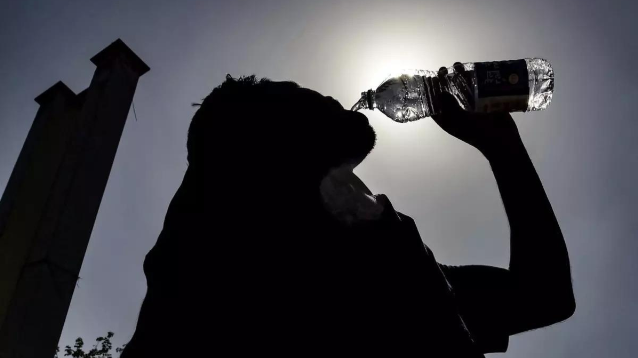India experienced 536 heatwave days in summer, highest in 15 years: IMD